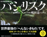 バシリスク 水上を走る忍者トカゲ
