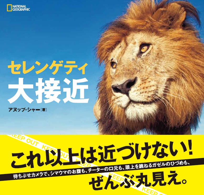 セレンゲティ大接近