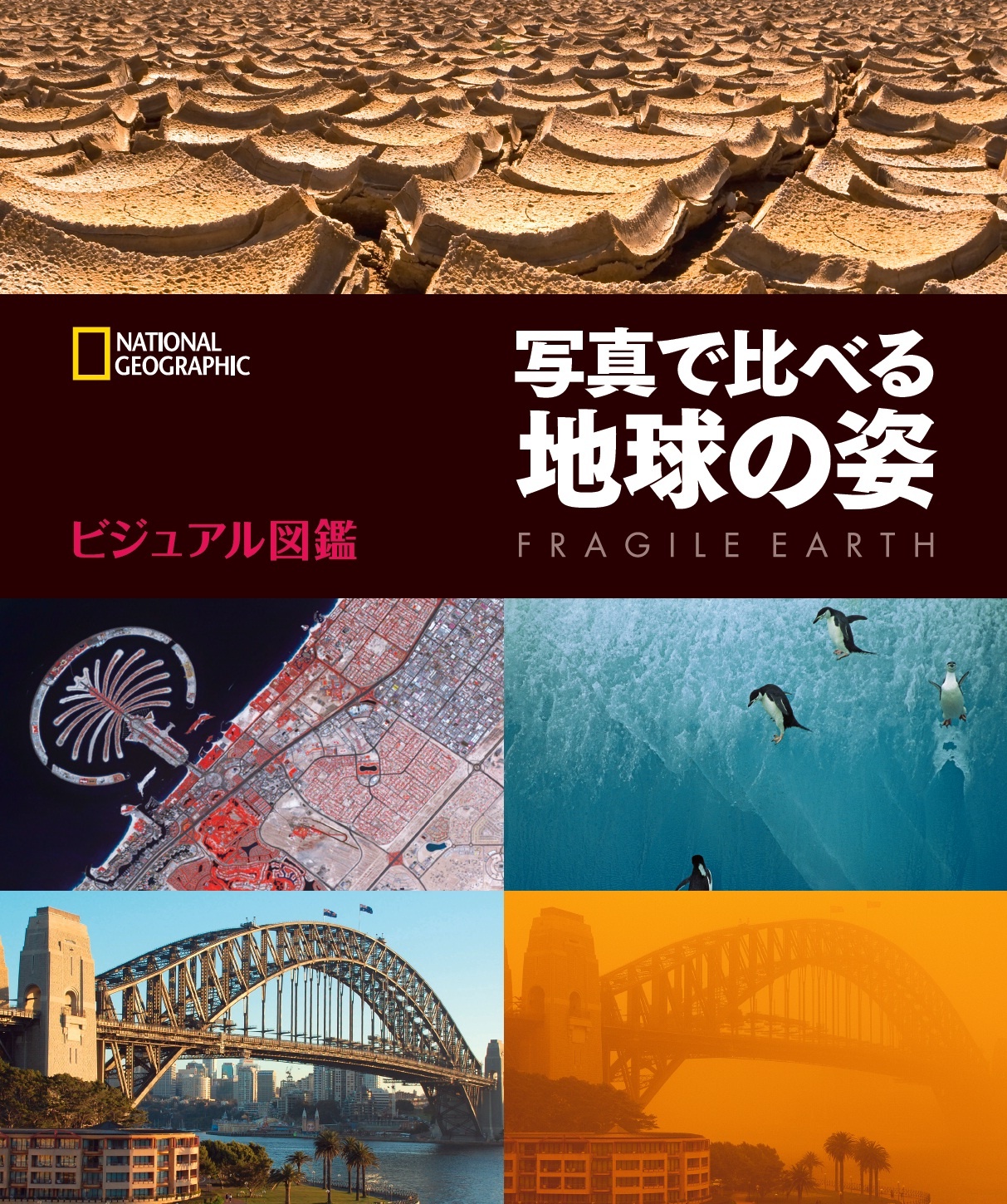 ビジュアル図鑑 写真で比べる地球の姿