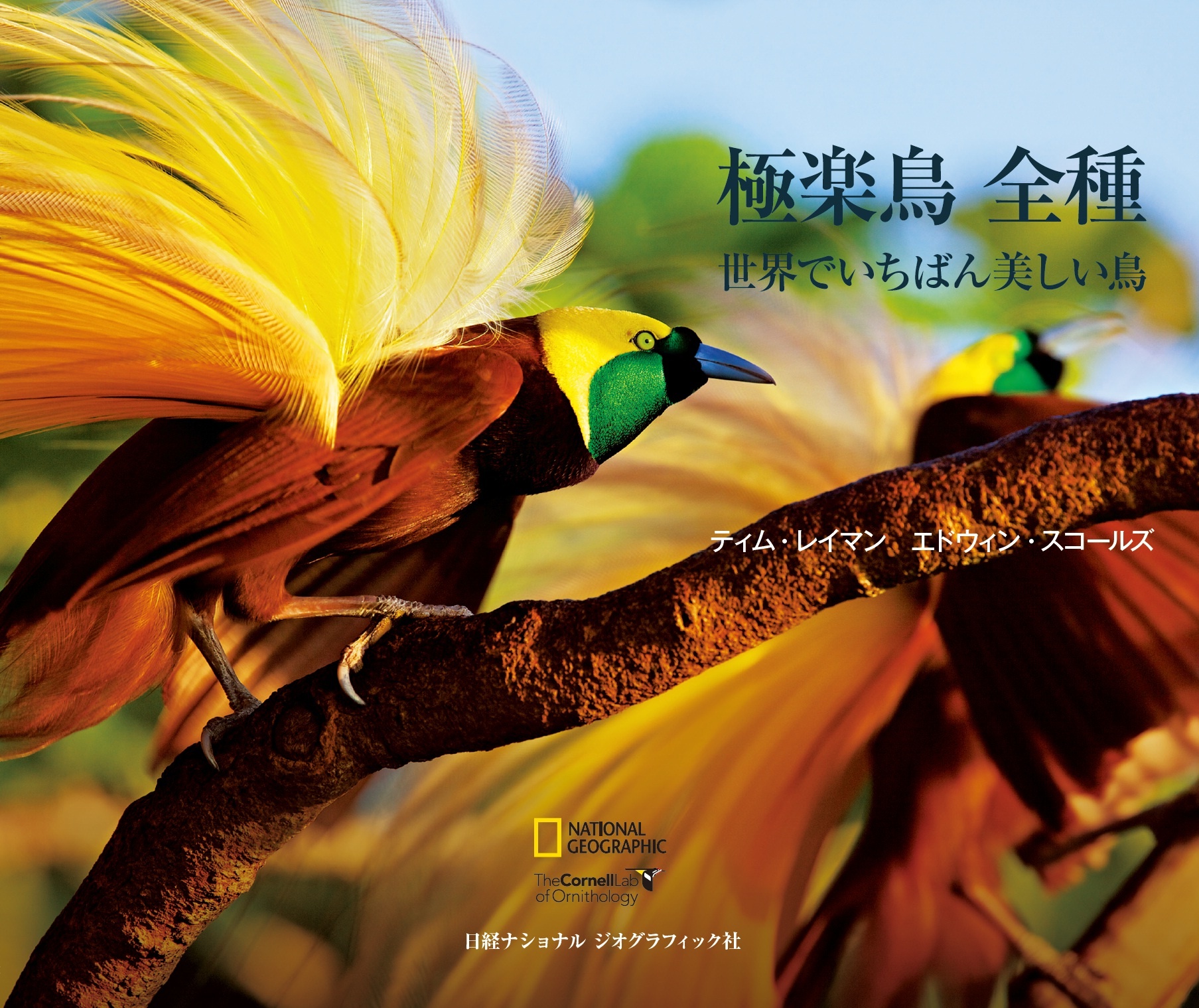 極楽鳥 全種 世界でいちばん美しい鳥 日経bookプラス 極楽鳥 全種 世界でいちばん美しい鳥 日経bookプラス