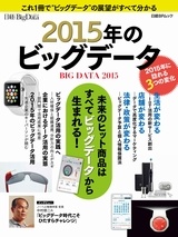 2015年のビッグデータ