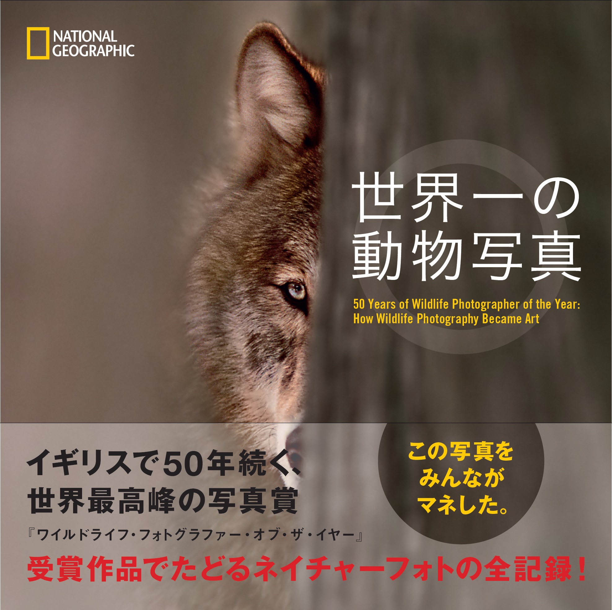 世界一の動物写真
