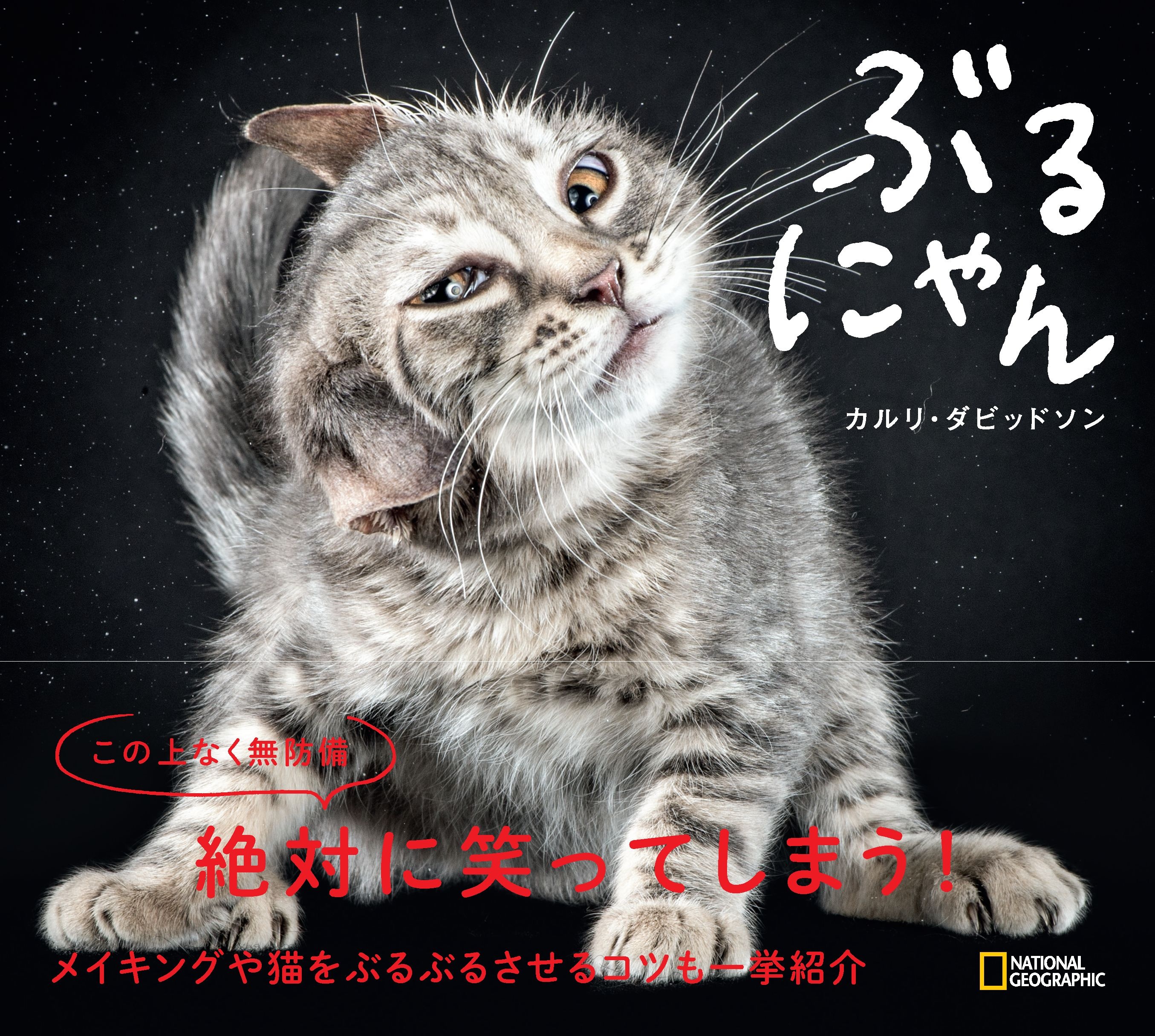 ぶるにゃん