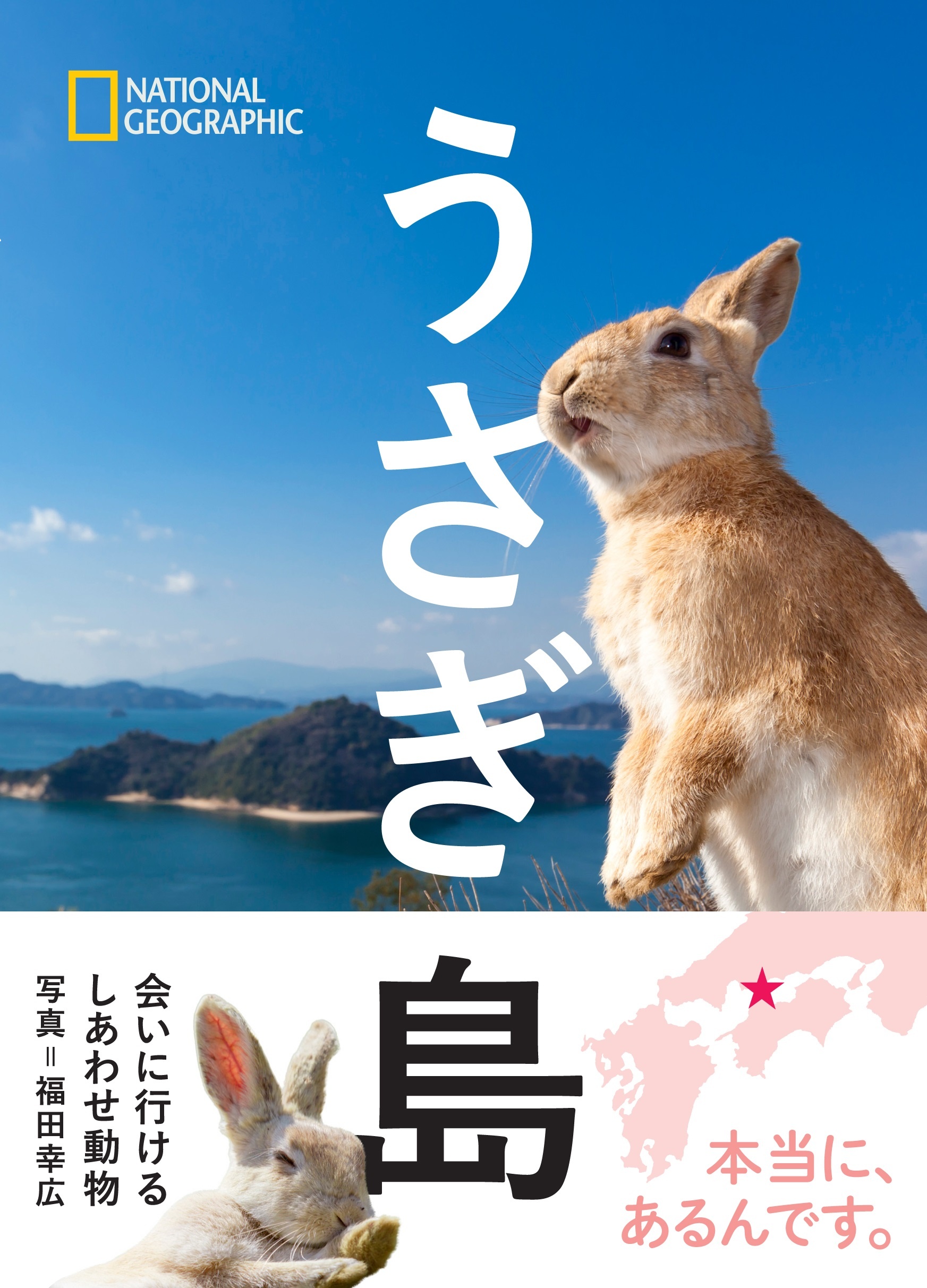 うさぎ島
