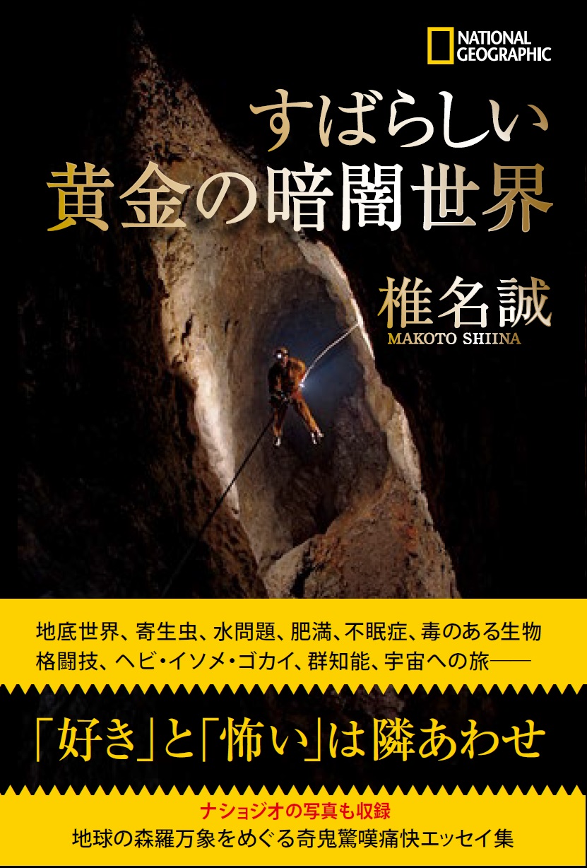 すばらしい黄金の暗闇世界