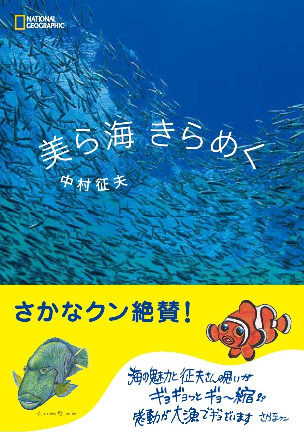 美ら海 きらめく