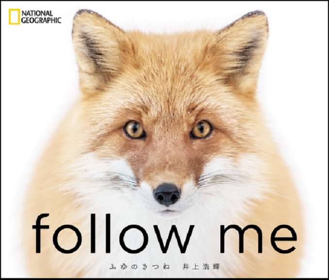 follow me