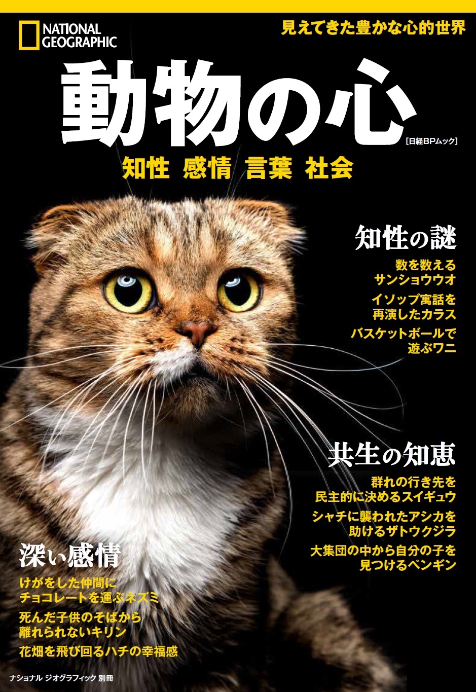 動物の心