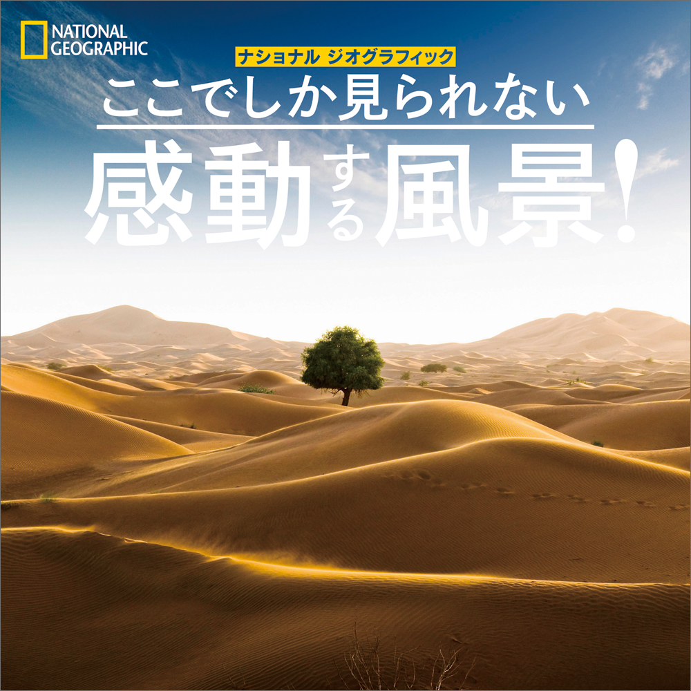 ここでしか見られない 感動する風景!