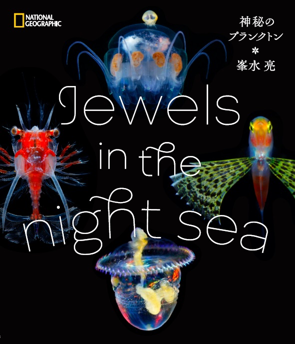 Jewels in the night sea 神秘のプランクトン