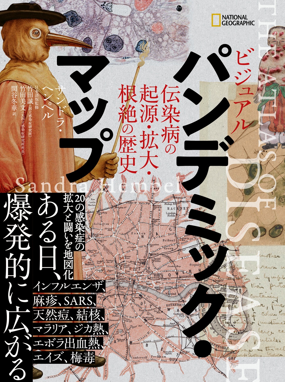 ビジュアル パンデミック・マップ