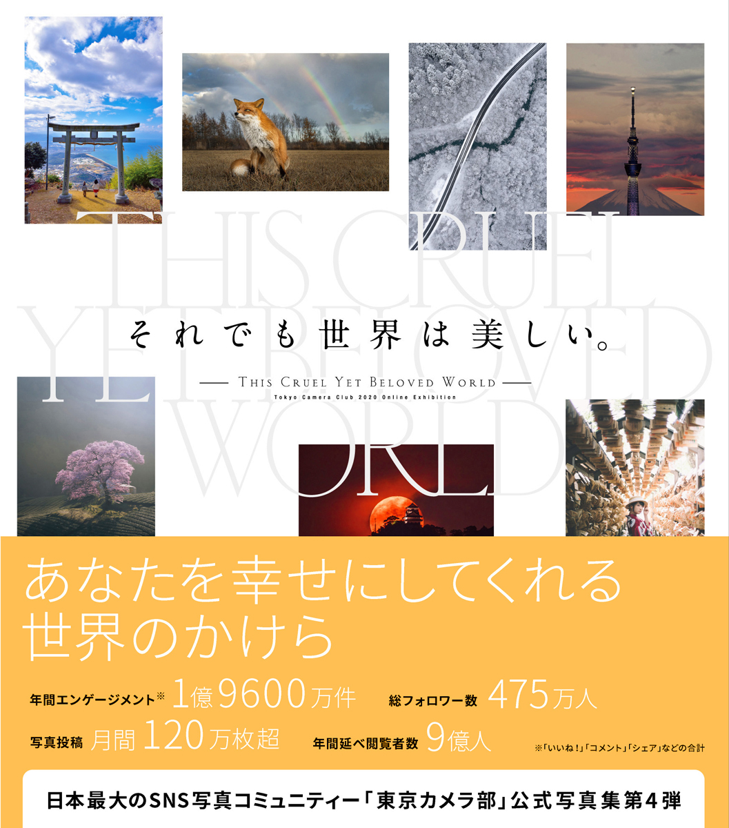 それでも世界は美しい。