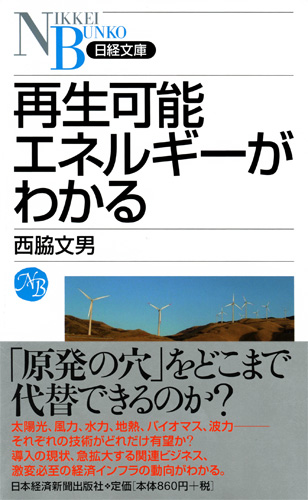 再生可能エネルギーがわかる