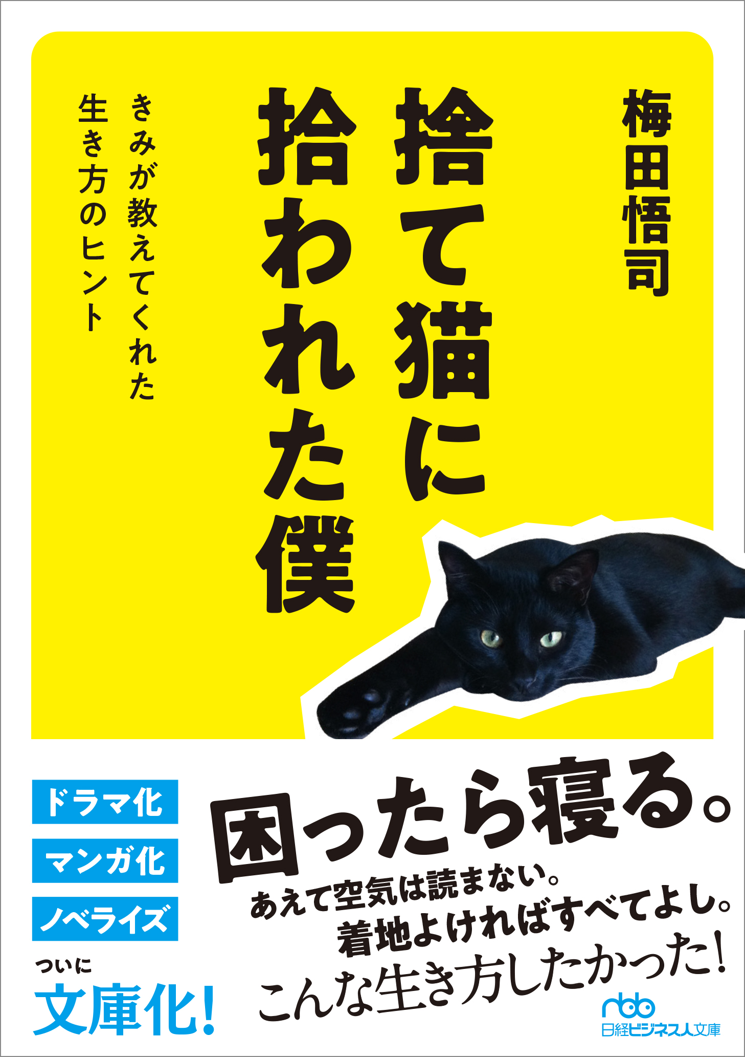 捨て猫に拾われた僕 日経bookプラス 捨て猫に拾われた僕 日経bookプラス