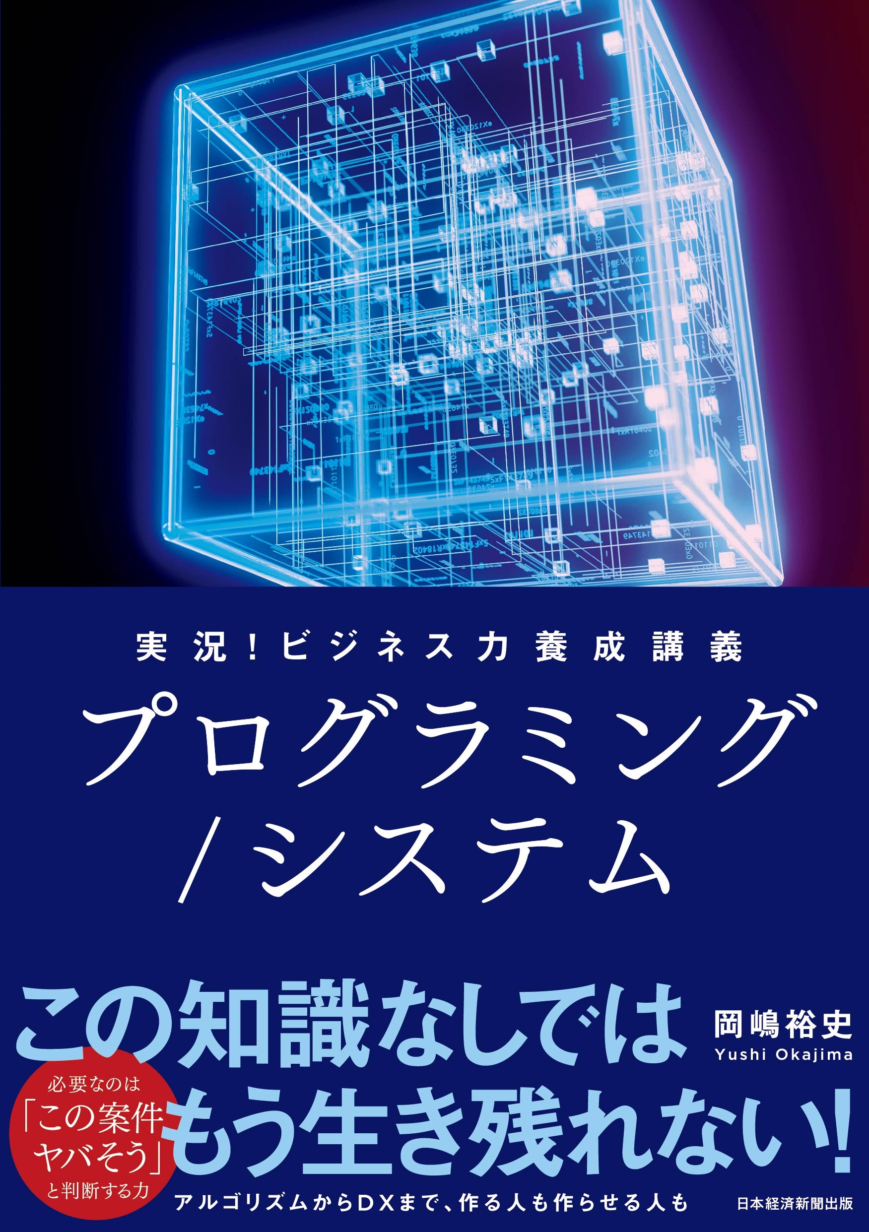 実況!ビジネス力養成講義 プログラミング/システム