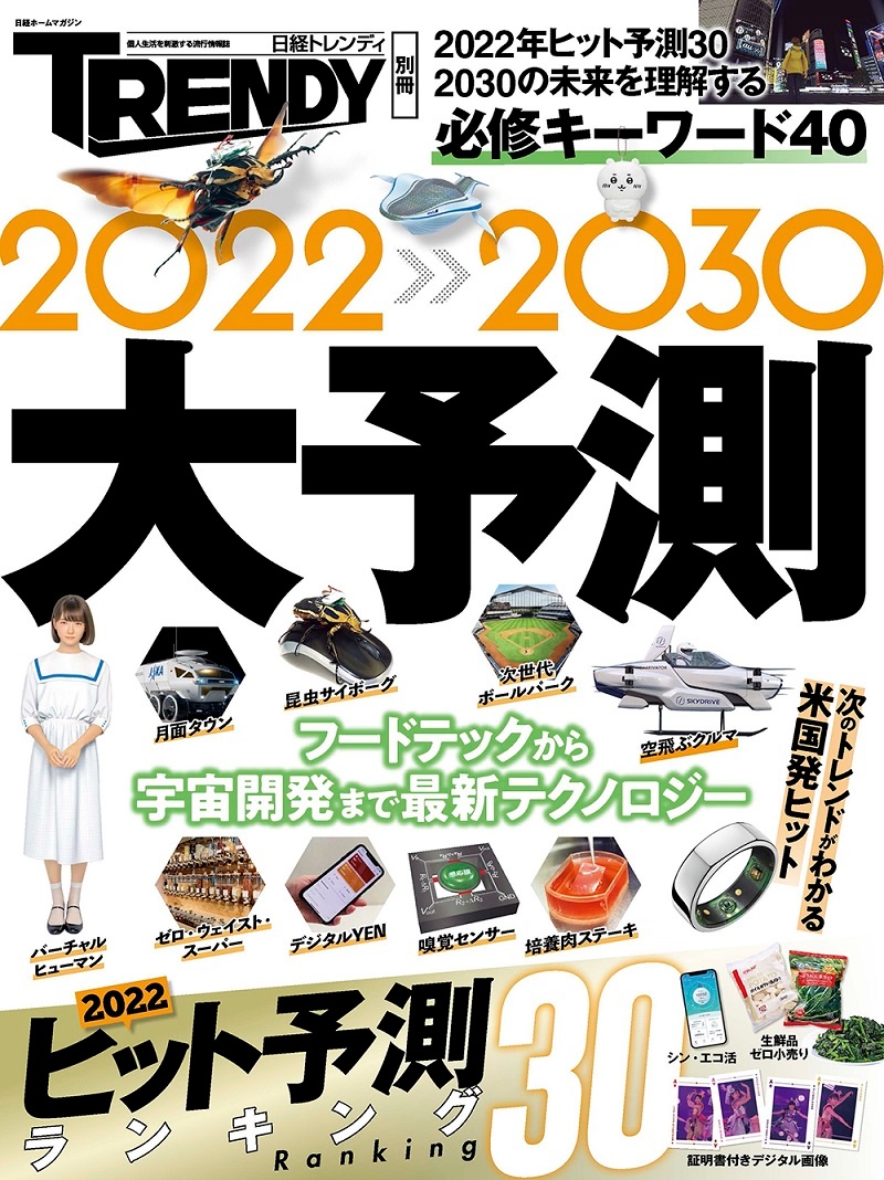 2022-2030 大予測
