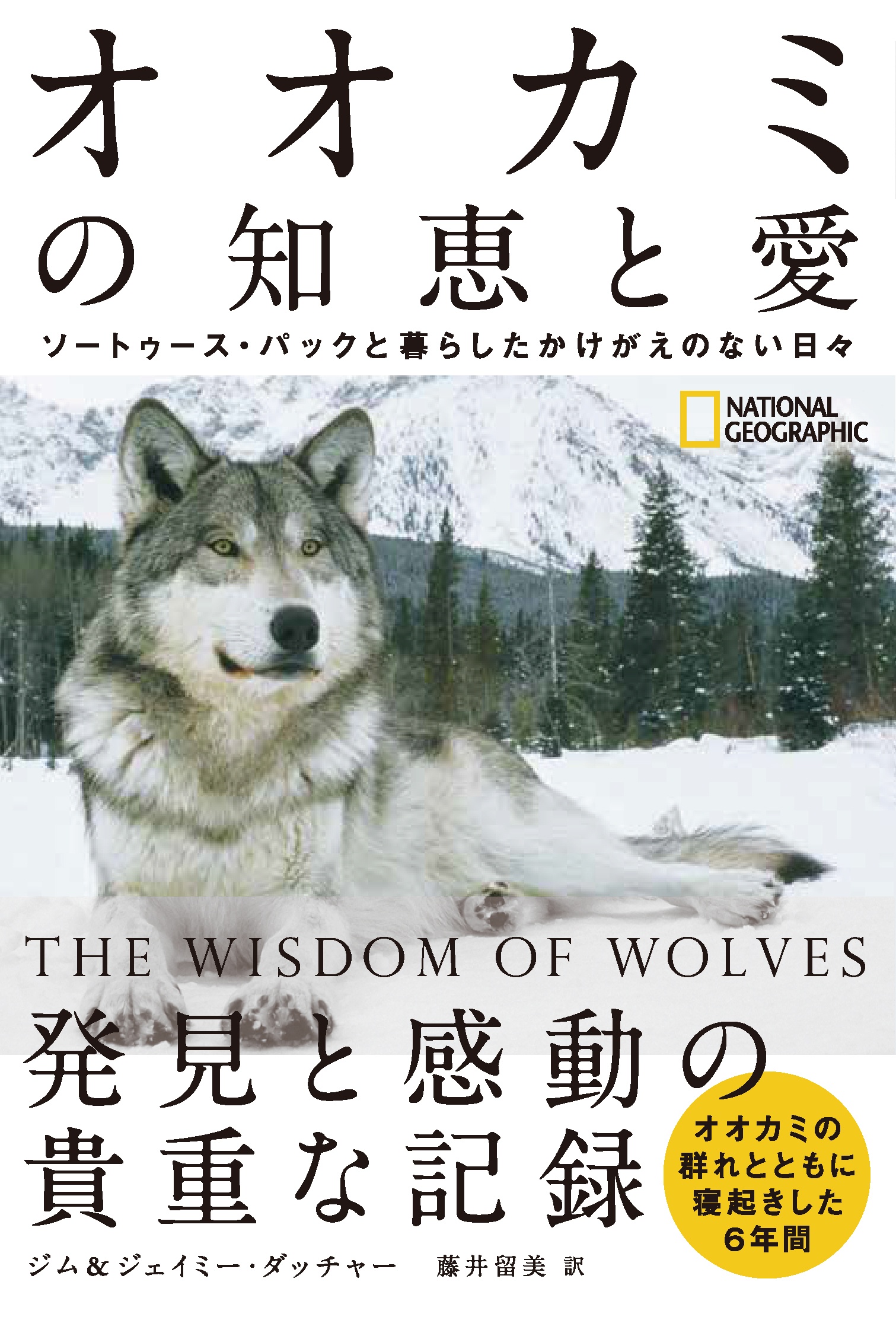 オオカミの知恵と愛