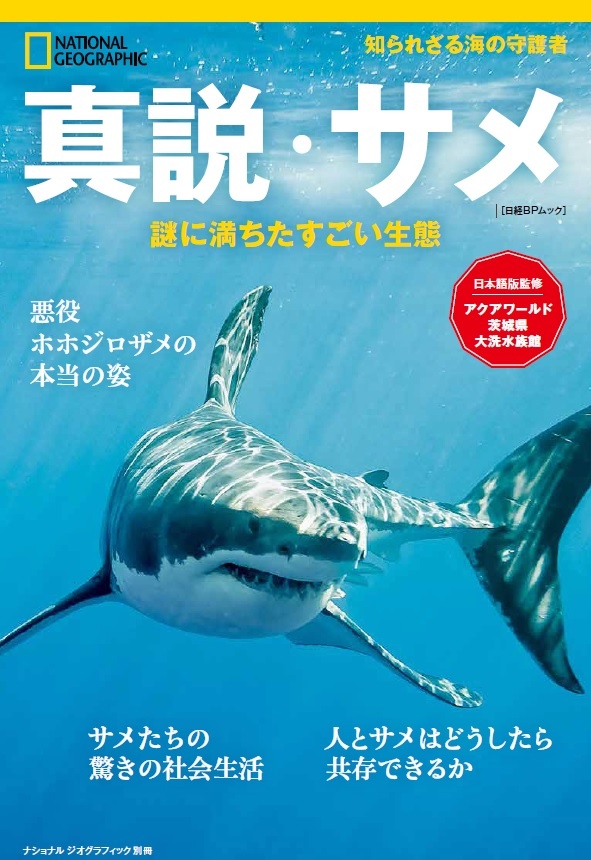 真説・サメ