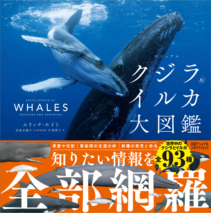 究極のクロマグロ完全養殖物語 | 日経BOOKプラス