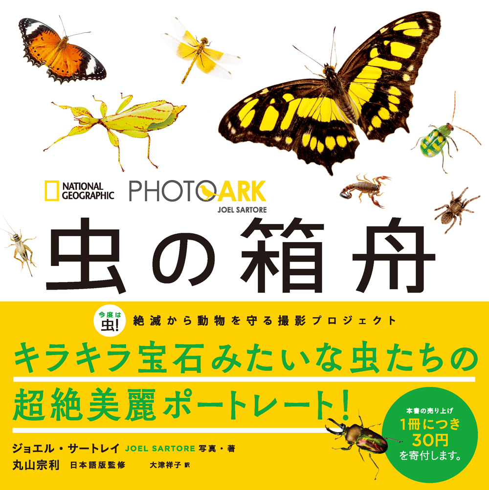 PHOTO ARK 虫の箱舟