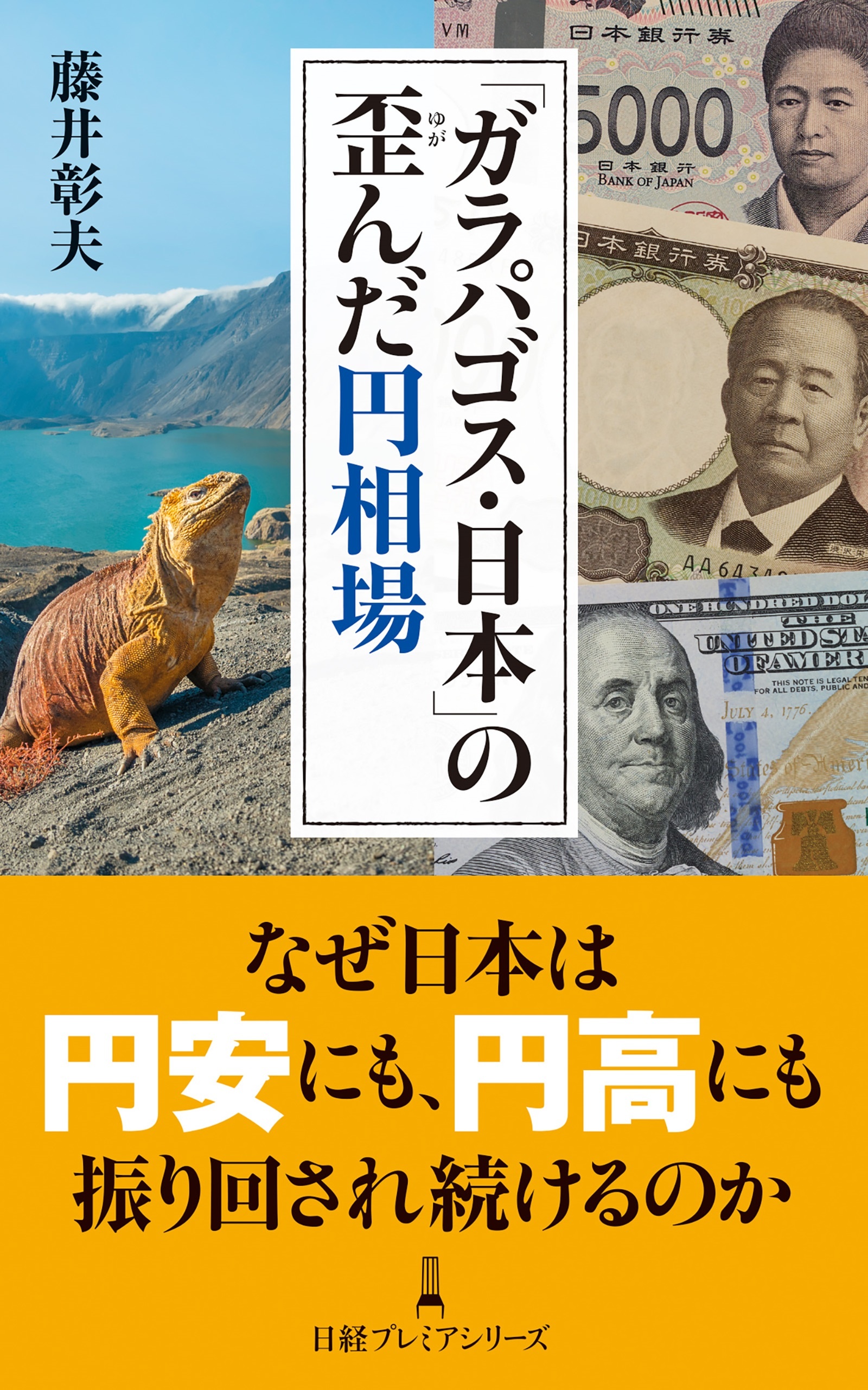 「ガラパゴス・日本」の歪んだ円相場(日経プレミアシリーズ)