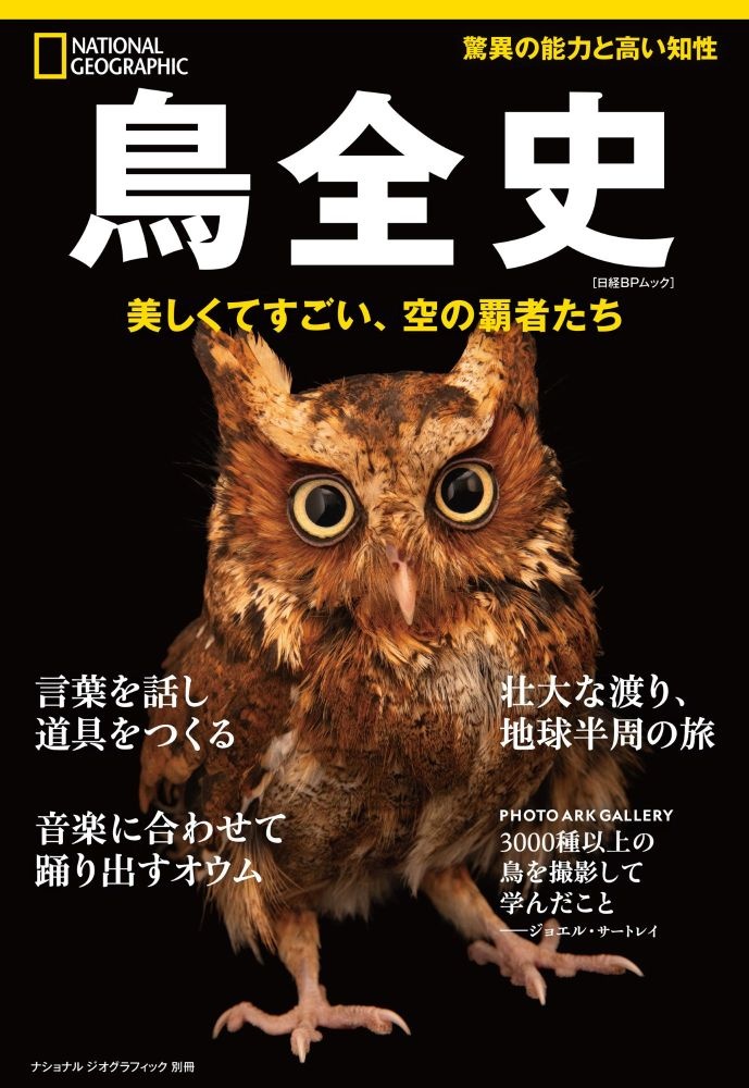 鳥全史 美しくてすごい、空の覇者たち