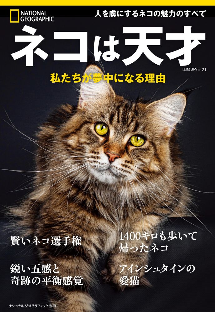 ネコは天才 私たちが夢中になる理由