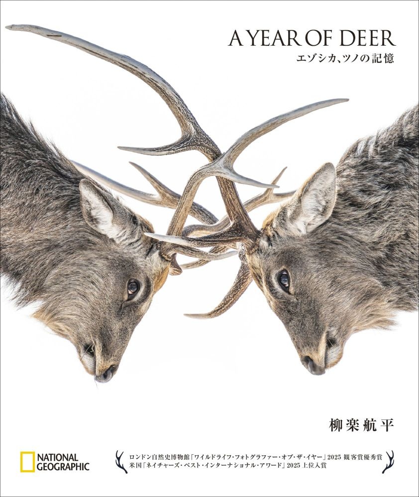 A YEAR OF DEER エゾシカ、ツノの記憶