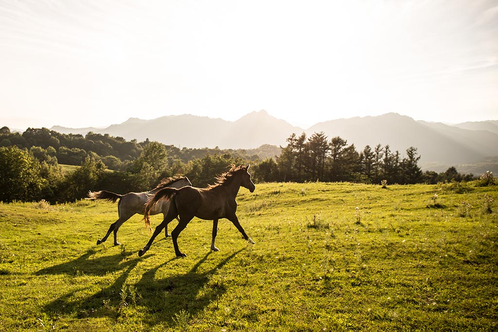 (写真:makieni/stock.adobe.com) (写真:makieni/stock.adobe.com)