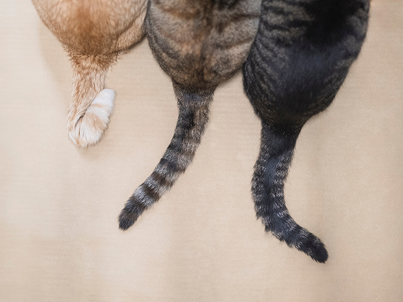 「投資をし続けられる人」に共通するお金以外の3要素