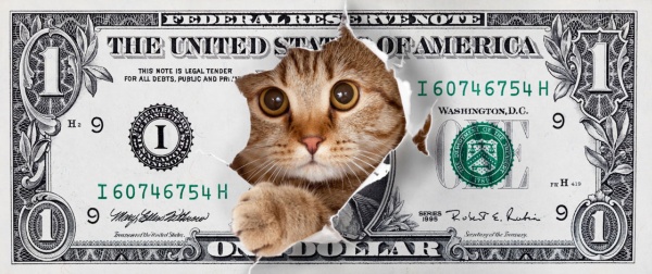 経営者の富の源泉は、多くの場合、給与ではなく株にある(写真:Andrey_Kuzmin/Shutterstock.com) 経営者の富の源泉は、多くの場合、給与ではなく株にある(写真:Andrey_Kuzmin/Shutterstock.com)