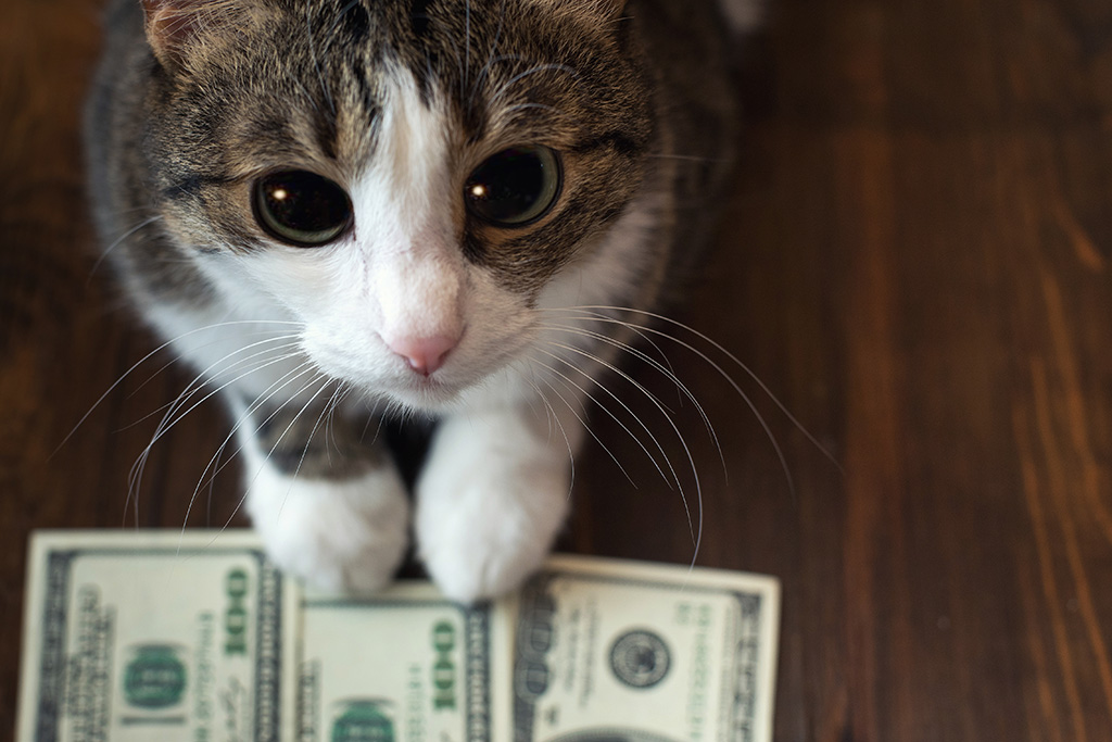 創業社長の「突拍子もないアイデア」にこそ一獲千金のチャンスがある、かもしれない(写真:BigNazik/stock.adobe.com) 創業社長の「突拍子もないアイデア」にこそ一獲千金のチャンスがある、かもしれない(写真:BigNazik/stock.adobe.com)