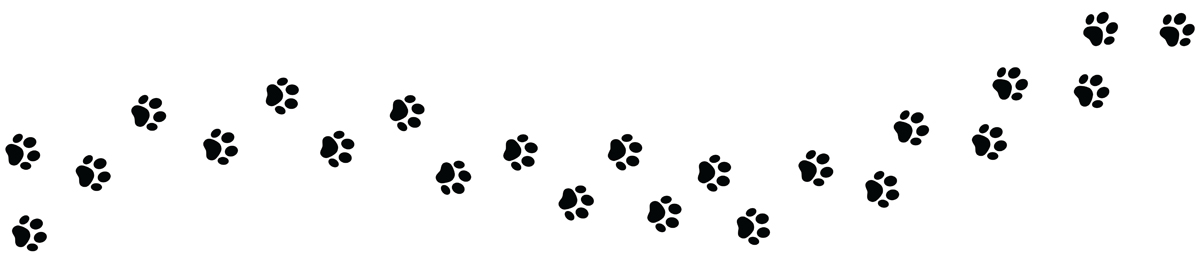 （写真：Graficriver／stock.adobe.com）