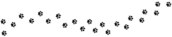(写真:Graficriver/stock.adobe.com)