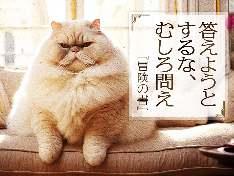 猫と読む本、孫泰蔵『冒険の書』