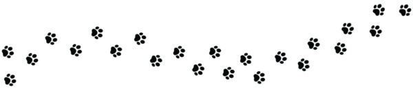 (写真:Graficriver/stock.adobe.com)