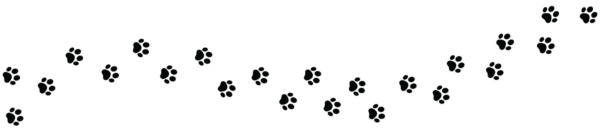 （写真：Graficriver／stock.adobe.com）