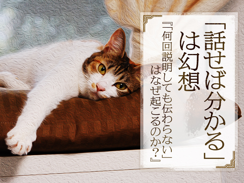 猫と読む本、今井むつみ『「何回説明しても伝わらない」はなぜ起こるのか？』
