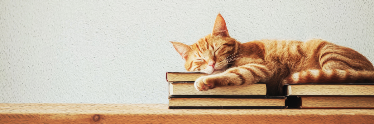 猫と読む