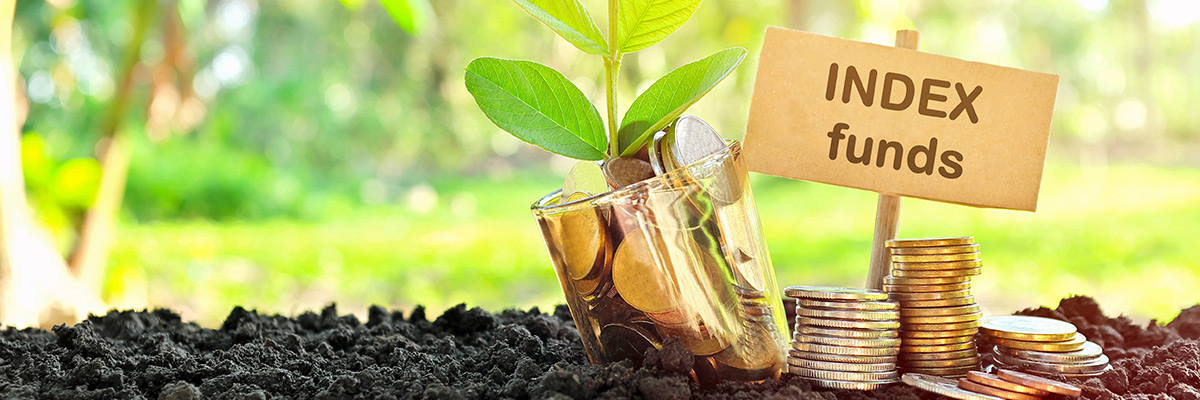 バフェットのインデックス投資をめぐる100万ドルの賭け | 日経