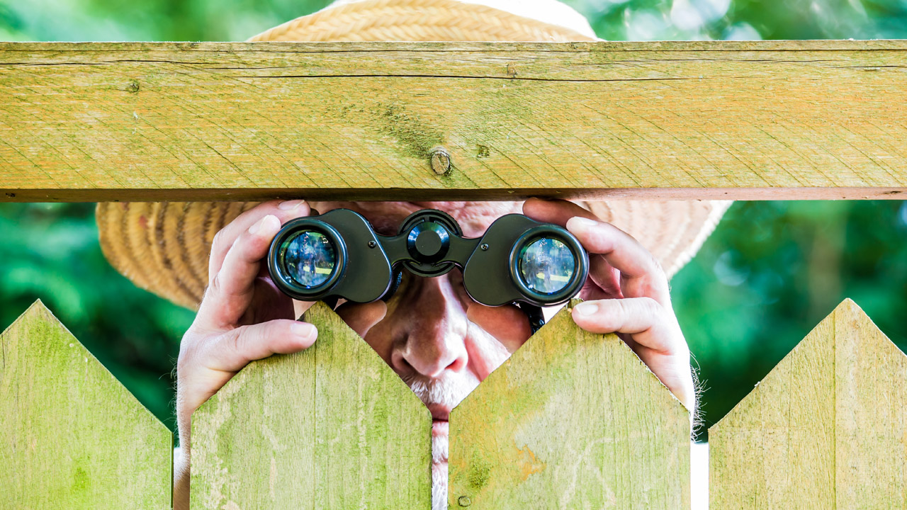 (写真:Rainer Fuhrmann/shutterstock.com)