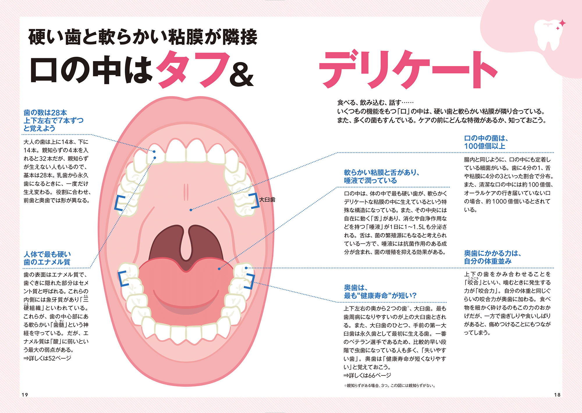 はじめに：『“食べる力”を落とさない！新しい「歯」のトリセツ