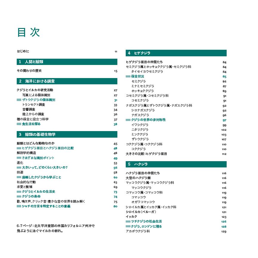 はじめに：『ビジュアル クジラ＆イルカ大図鑑』 | 日経BOOKプラス