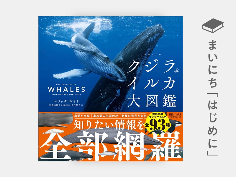 はじめに：『ビジュアル クジラ＆イルカ大図鑑』