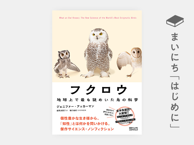 夢の回想録 高田賢三自伝 | 日経BOOKプラス