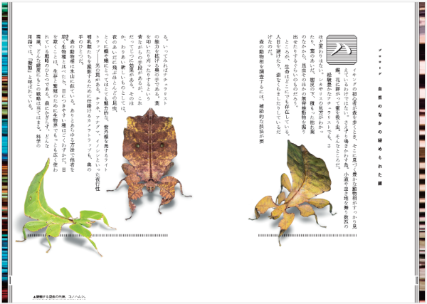 (写真:teptong/stock.adobe.com)
