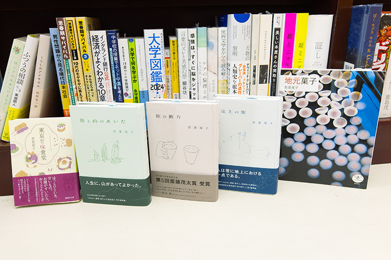 若菜晃子の本。左から『東京甘味食堂』(講談社文庫)、『街と山のあいだ』『旅の断片』『途上の旅』(以上、アノニマ・スタジオ)、『地元菓子』(新潮社) 若菜晃子の本。左から『東京甘味食堂』(講談社文庫)、『街と山のあいだ』『旅の断片』『途上の旅』(以上、アノニマ・スタジオ)、『地元菓子』(新潮社)
