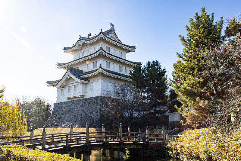 忍城。『のぼうの城』の舞台にもなった