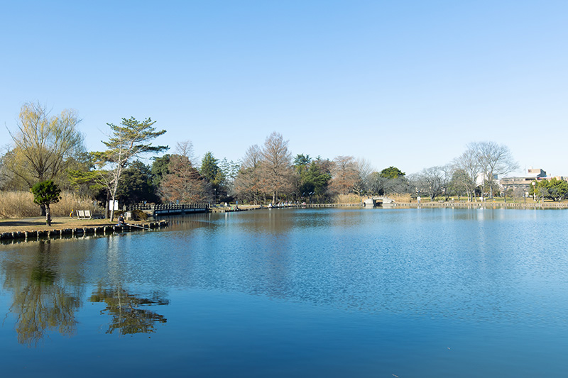 大井さんお薦めの地元スポット「水城公園」。「行田出身で戦前に検事総長、大審院長、司法大臣、中央大学学長などを歴任した林頼三郎の顕彰碑があります」大井さんおすすめの地元スポット「水城公園」。「行田出身で戦前に検事総長、大審院長、司法大臣、中央大学学長などを歴任した林頼三郎の胸像があります」