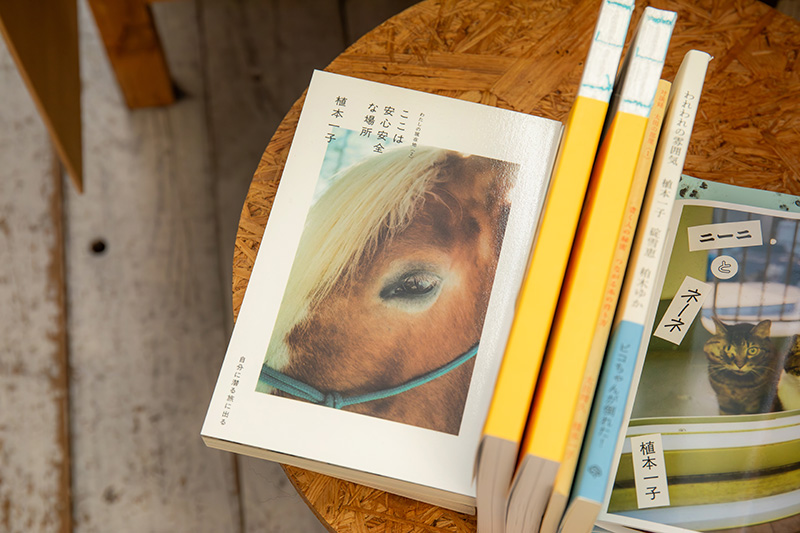 『ここは安心安全な場所』（植本一子著／自主制作本）。写真家・文筆家の植本一子のエッセー